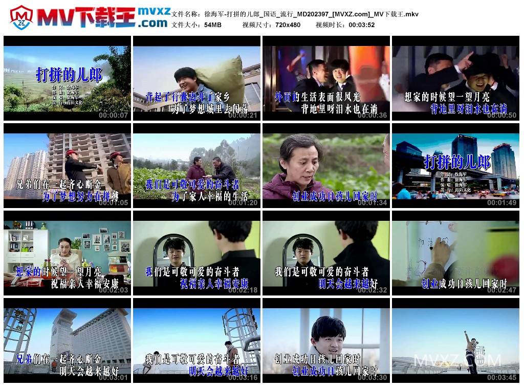 徐海军-打拼的儿郎_国语_流行_MD202397